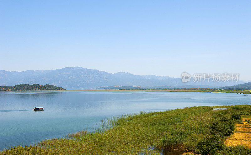 Dalyan, Mugla，火鸡